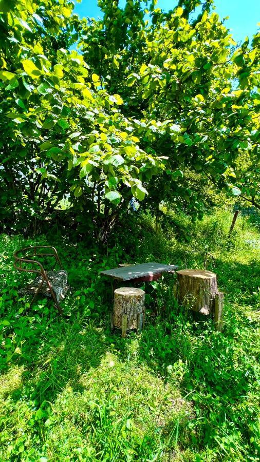 Mountain Top Getaway In Dilijan! Экстерьер фото