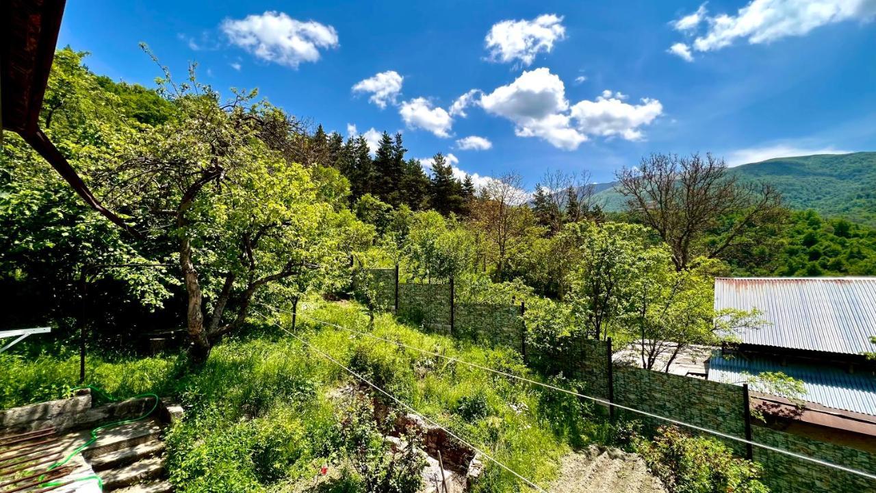 Mountain Top Getaway In Dilijan! Экстерьер фото